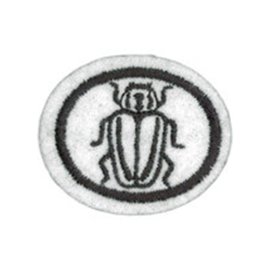 INSECTS